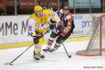Photo hockey match Amiens  - Strasbourg  le 31/01/2015