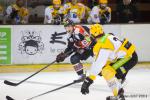 Photo hockey match Amiens  - Strasbourg  le 31/01/2015