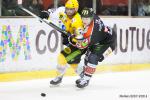 Photo hockey match Amiens  - Strasbourg  le 31/01/2015