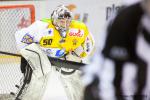 Photo hockey match Amiens  - Strasbourg  le 31/01/2015