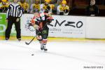 Photo hockey match Amiens  - Strasbourg  le 31/01/2015