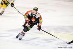 Photo hockey match Amiens  - Strasbourg  le 31/01/2015