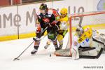 Photo hockey match Amiens  - Strasbourg  le 31/01/2015