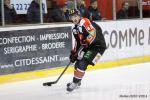 Photo hockey match Amiens  - Strasbourg  le 31/01/2015