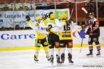 Photo hockey match Amiens  - Strasbourg  le 31/01/2015