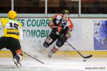 Photo hockey match Amiens  - Strasbourg  le 31/01/2015