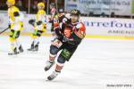 Photo hockey match Amiens  - Strasbourg  le 31/01/2015