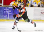 Photo hockey match Amiens  - Strasbourg  le 31/01/2015