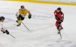 Photo hockey match Amiens  - Strasbourg  le 27/12/2017