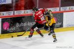 Photo hockey match Amiens  - Strasbourg  le 01/12/2018