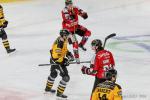 Photo hockey match Amiens  - Strasbourg  le 26/12/2018