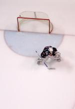 Photo hockey match Amiens  - Strasbourg  le 18/10/2011