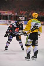 Photo hockey match Amiens  - Strasbourg  le 25/02/2012
