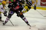 Photo hockey match Amiens  - Strasbourg  le 13/02/2013