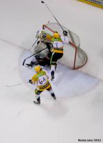 Photo hockey match Amiens  - Strasbourg  le 13/02/2013