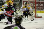 Photo hockey match Amiens  - Strasbourg  le 13/02/2013