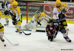 Photo hockey match Amiens  - Strasbourg  le 23/02/2013