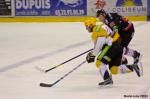 Photo hockey match Amiens  - Strasbourg  le 02/03/2013