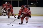 Photo hockey match Amnville - Brest  le 02/01/2010