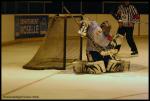 Photo hockey match Amnville - Montpellier  le 06/02/2010