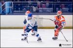 Photo hockey match Amnville - Paris (FV) le 12/01/2019