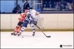 Photo hockey match Amnville - Paris (FV) le 12/01/2019