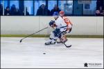 Photo hockey match Amnville - Paris (FV) le 12/01/2019