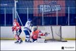 Photo hockey match Amnville - Paris (FV) le 12/01/2019
