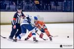 Photo hockey match Amnville - Paris (FV) le 12/01/2019