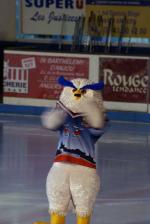 Photo hockey match Angers  - Amiens  le 25/10/2008