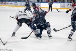 Photo hockey match Angers  - Bordeaux le 20/02/2024