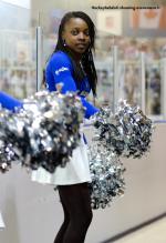 Photo hockey match Angers  - Brest  le 01/02/2014