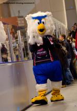 Photo hockey match Angers  - Brianon  le 29/03/2014