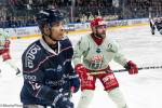 Photo hockey match Angers  - Cergy-Pontoise le 09/03/2024