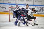 Photo hockey match Angers  - Chamonix  le 19/03/2021