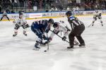 Photo hockey match Angers  - Chamonix  le 03/12/2023