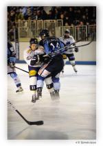 Photo hockey match Angers  - Chamonix  le 30/10/2010
