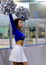 Photo hockey match Angers  - Dijon  le 02/11/2013