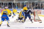 Photo hockey match Angers  - Dijon  le 05/12/2014