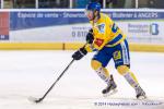 Photo hockey match Angers  - Dijon  le 05/12/2014