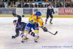 Photo hockey match Angers  - Dijon  le 05/12/2014