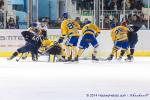 Photo hockey match Angers  - Dijon  le 05/12/2014