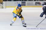 Photo hockey match Angers  - Dijon  le 05/12/2014