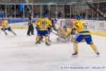 Photo hockey match Angers  - Dijon  le 05/12/2014