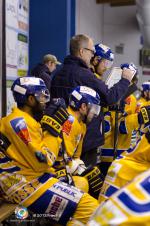 Photo hockey match Angers  - Dijon  le 21/01/2012