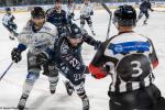 Photo hockey match Angers  - Gap  le 14/01/2024