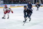 Photo hockey match Angers  - Grenoble  le 27/02/2024