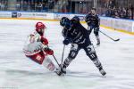Photo hockey match Angers  - Grenoble  le 27/02/2024