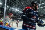 Photo hockey match Angers  - Grenoble  le 01/04/2026