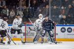 Photo hockey match Angers  - Marseille le 19/11/2023